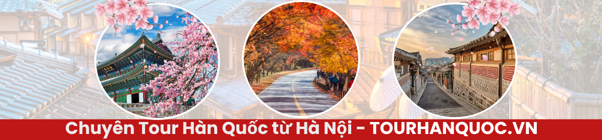 Tour Hàn Quốc